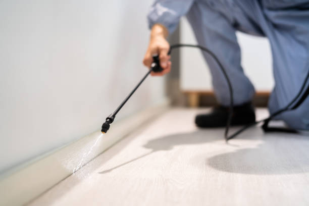 Licensed Cockroach Control service in Simpson, PA - Nex Pest Control